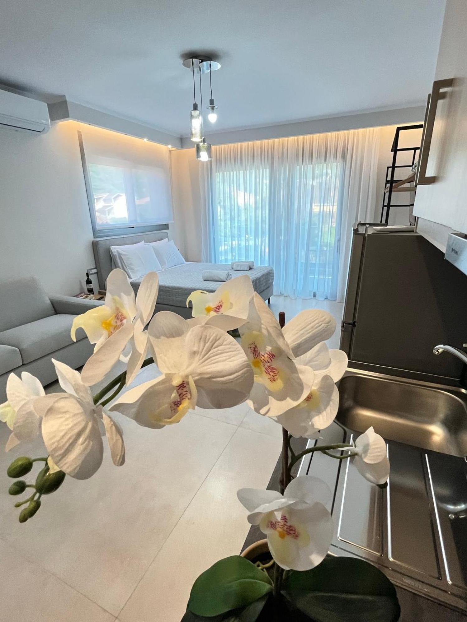 Maison Deluxe Studios And Apartment Parga Luaran gambar